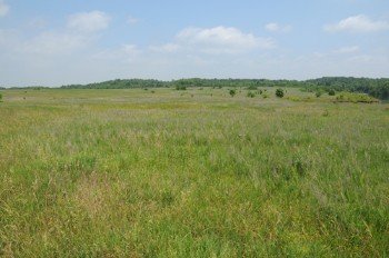 Property photo 38 - 1,025 Acres in 24 Tracts - Exellent Recreation Opportunity - Potential Building Sites - 11 Lakes & Ponds